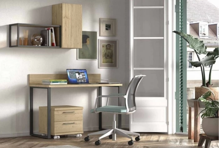 Escritorio y estantería, Mod. Lero